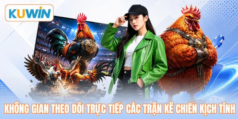 Không gian theo dõi trực tiếp các trận kê chiến kịch tính 